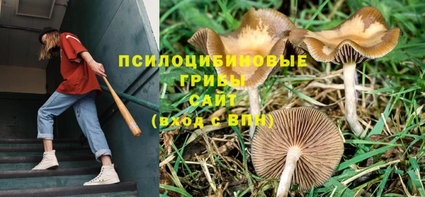стафф Бородино