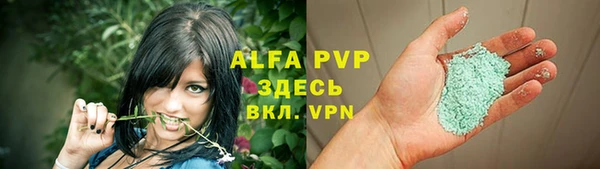 ECSTASY Бронницы