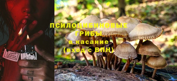 ECSTASY Бронницы