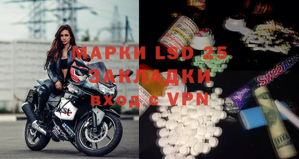 стафф Бородино