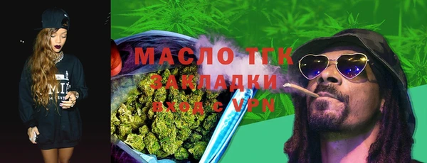 гидра Богданович